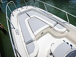 2015 Boston Whaler 240 Dauntless Photo #5