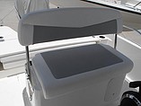 2015 Boston Whaler 240 Dauntless Photo #3
