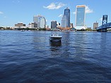 2015 Boston Whaler 270 Dauntless Photo #3