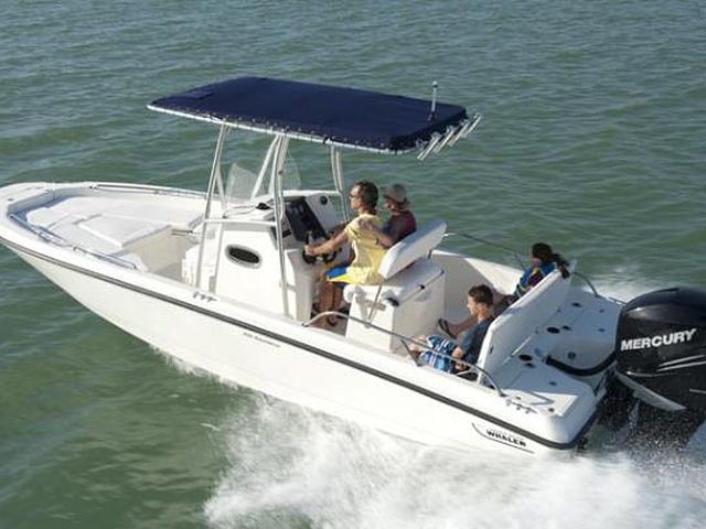 2015 Boston Whaler 240 Dauntless Photo