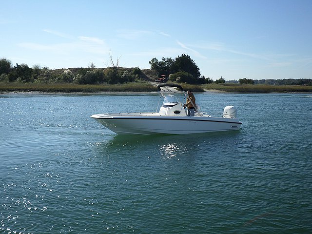 2015 Boston Whaler 240 Dauntless Photo