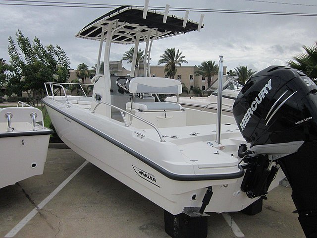 2015 Boston Whaler 240 Dauntless Photo