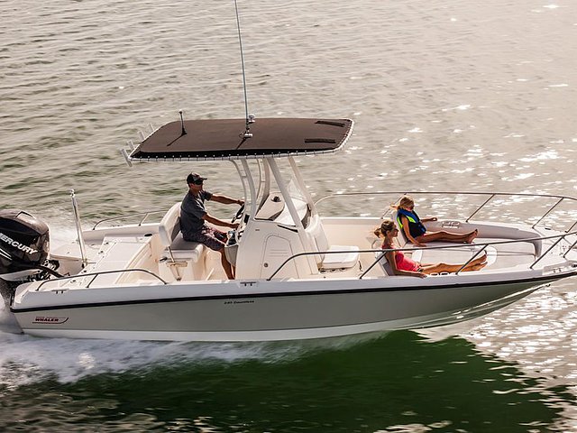 2015 Boston Whaler 240 Dauntless Photo