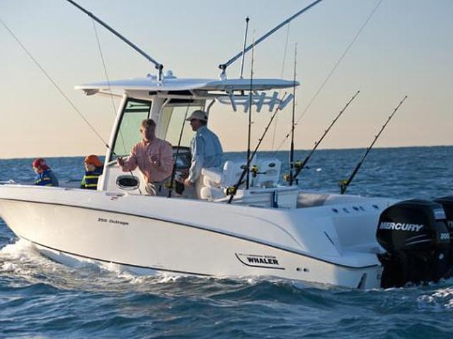 2015 Boston Whaler 250 Outrage Photo