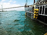 1920 Van Meer Tall Ship Schooner Photo #15