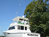 1996 Viking Boats Sportfish 58 Photo #5