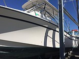 97 Gradywhite 300 Marlin