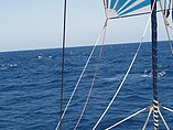 2010 Balance 601 Photo #41