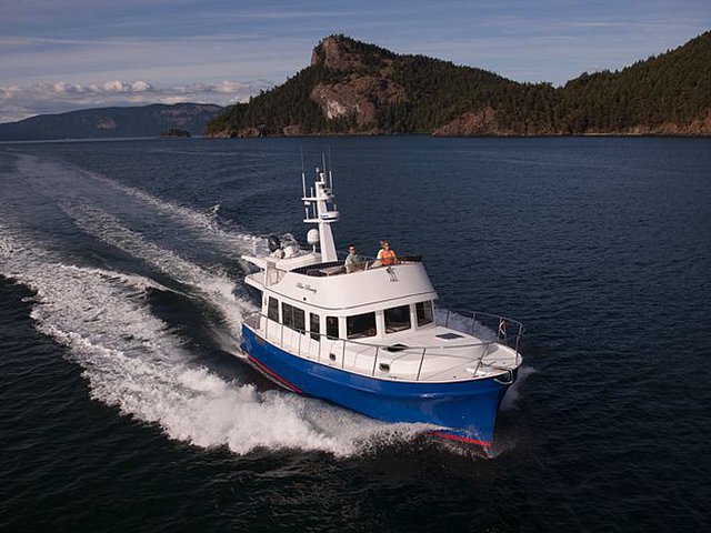 2010 Bracewell 41 Photo