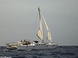 2009 Wharram Tiki Photo #84