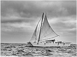 2009 Wharram Tiki Photo #85